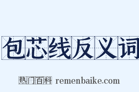 包芯线反义词是什么意思的图片